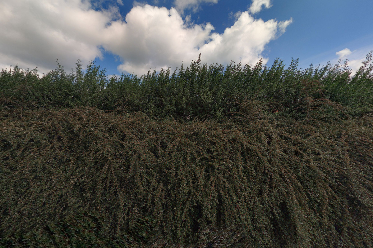 Koupaliště Bratřice