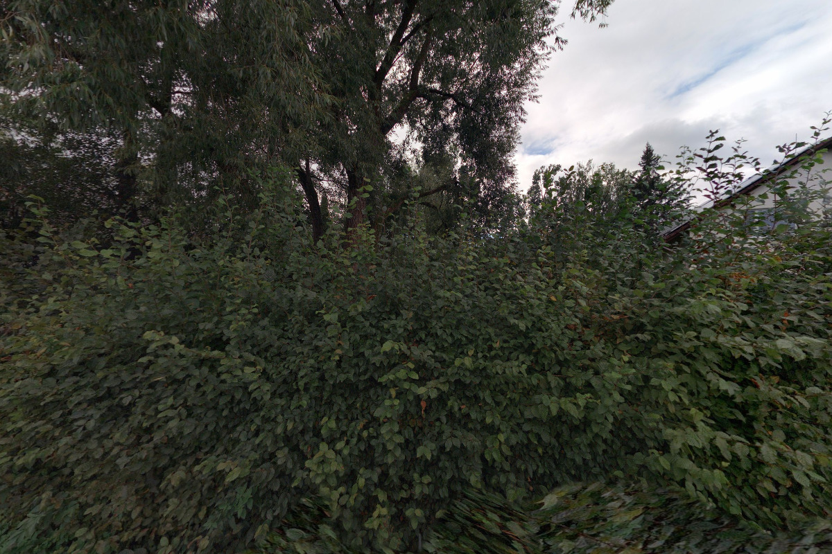 Ing. Marie Zgarbová foto 1