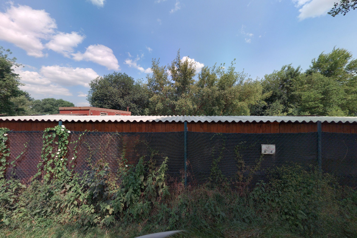 Psí škola Pohoda foto 5