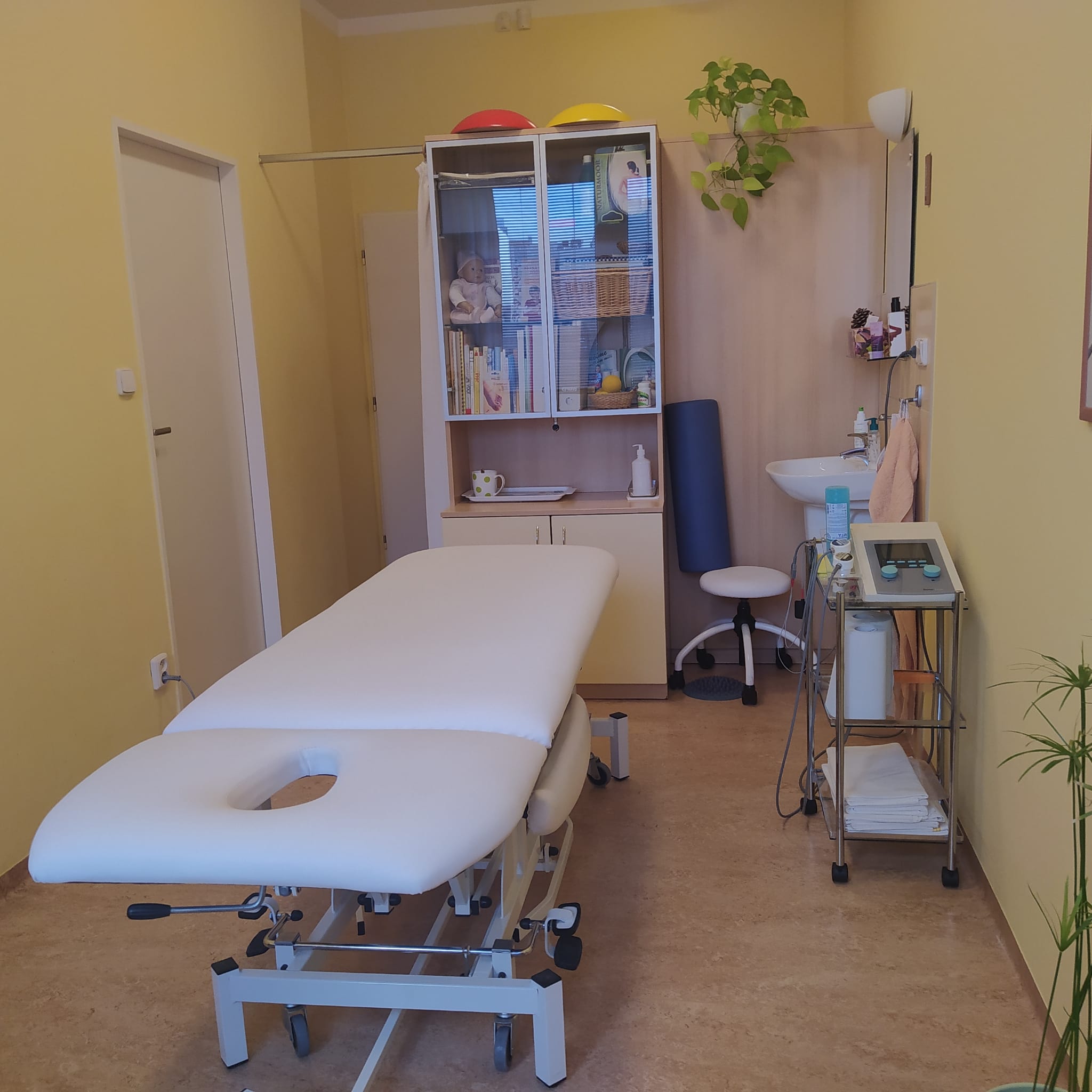 Zora Mertová - REHABILITACE foto 3