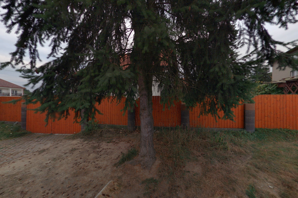 KOMINICTVÍ - Tomáš Elsnic