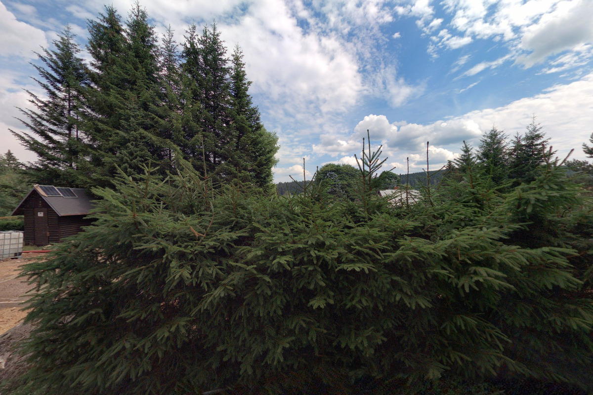 Zmrzlina Bedřichov foto 1