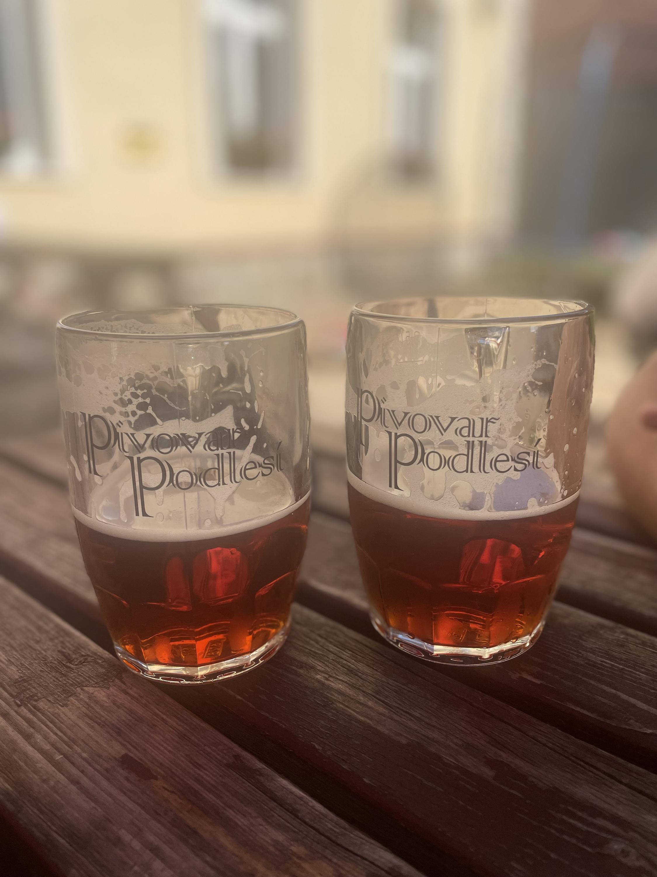 Penzion Podlesí foto 2