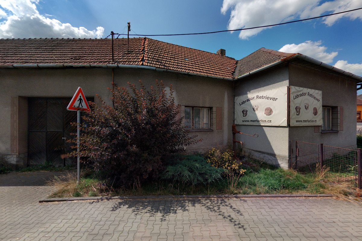 Chovná stanice Merlucius - Labrador Retriever foto 5