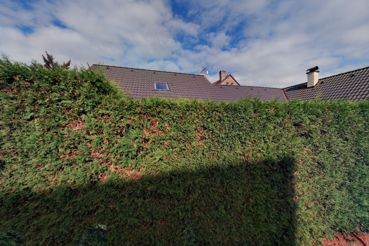 Ludvík Kožich foto 1