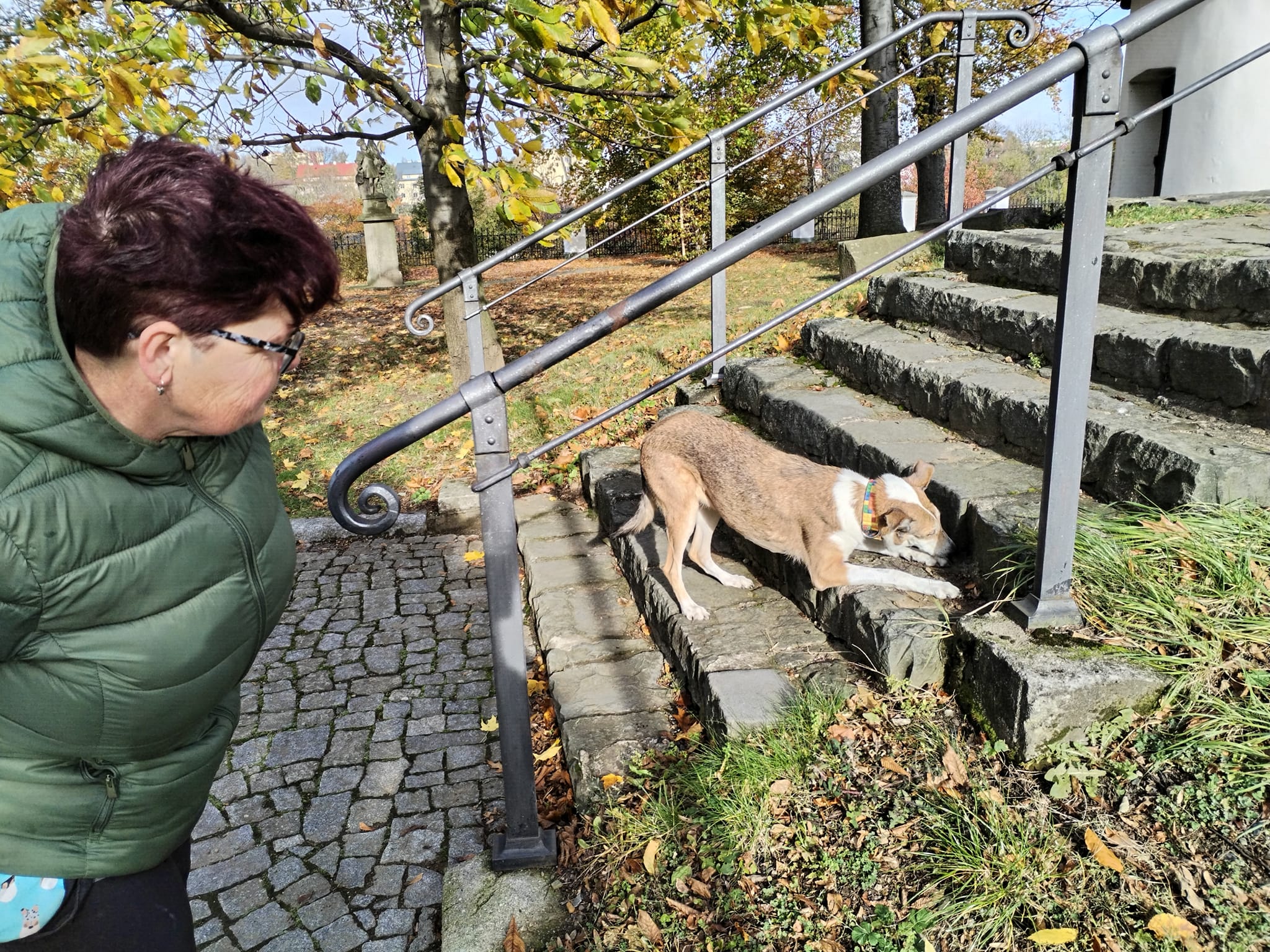 Czechnosework K+R+P z.s. foto 4