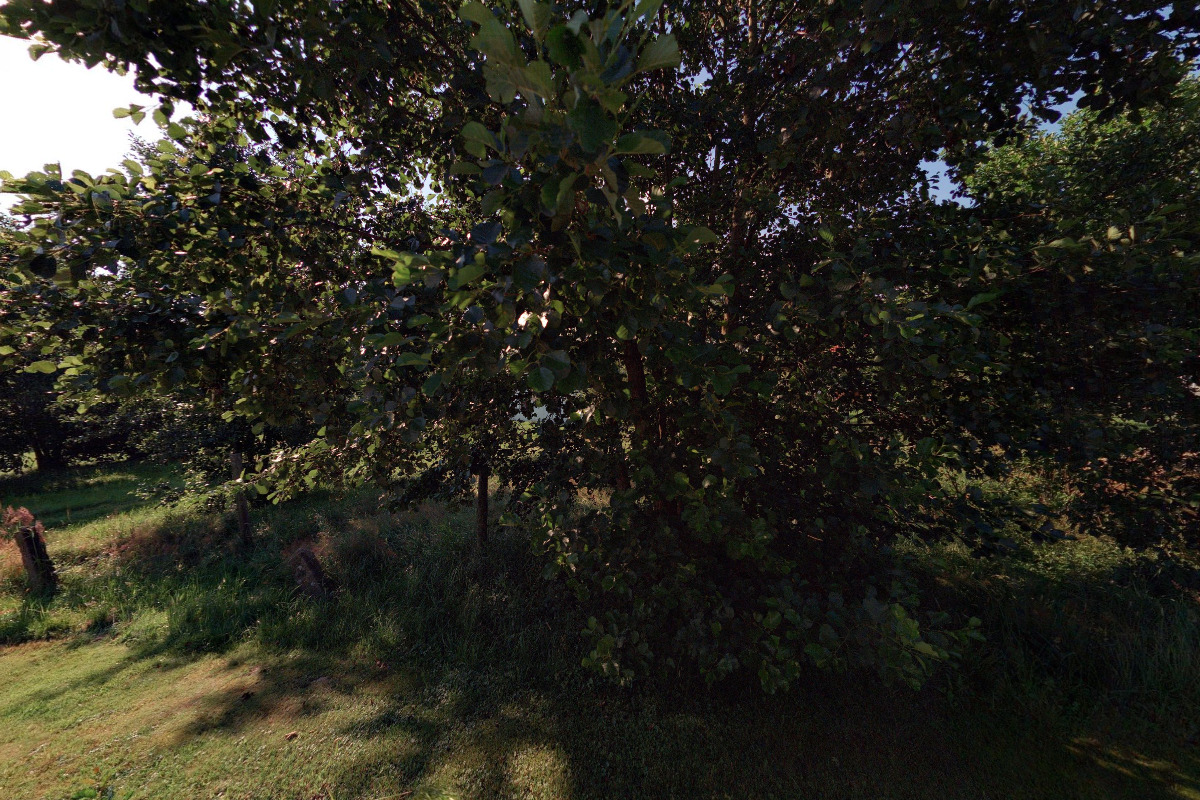 Chalupa Bělá foto 2