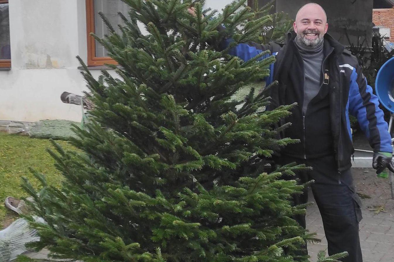 Prodej vánočních stromků Jan Růžička foto 1