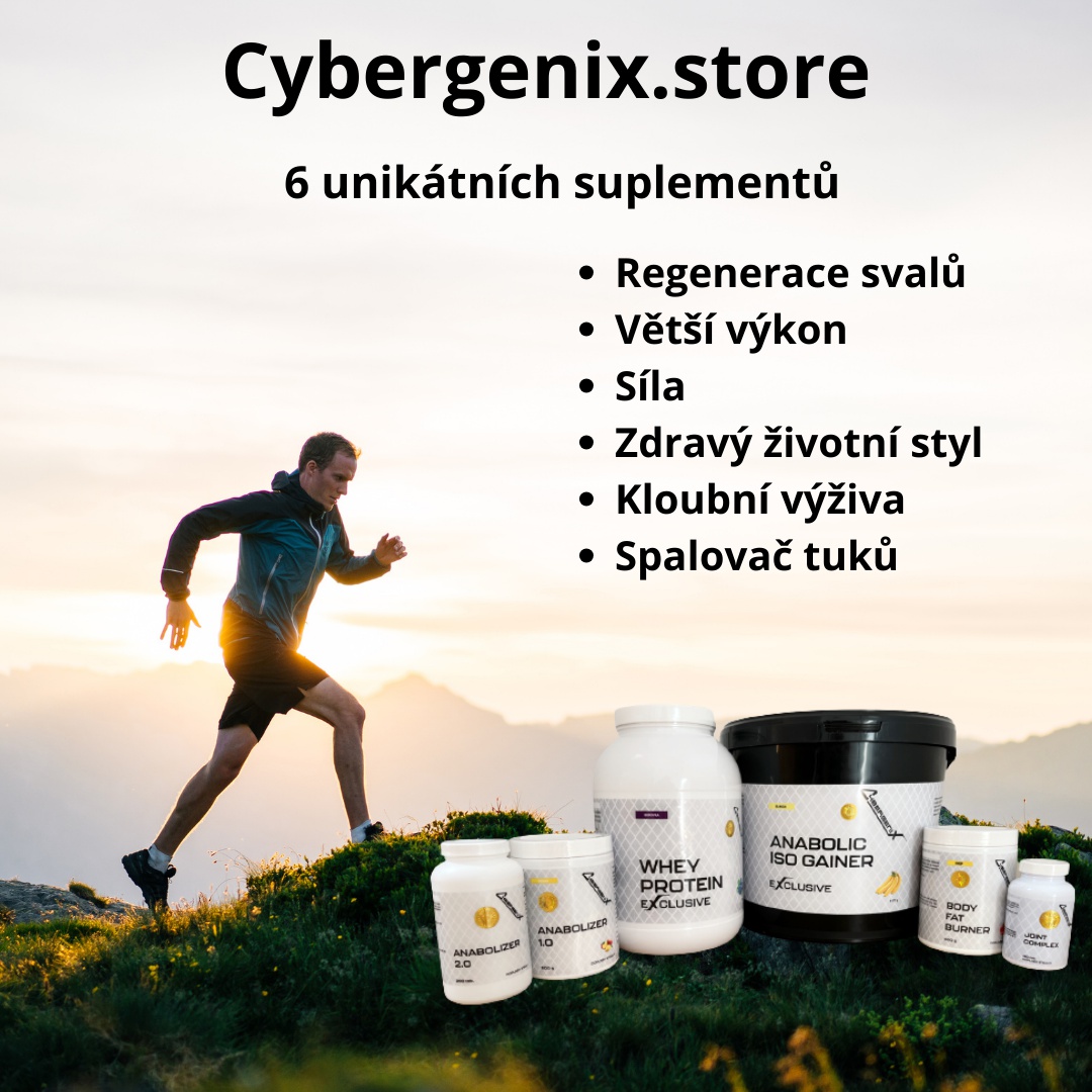 Cybergenix.store foto 2