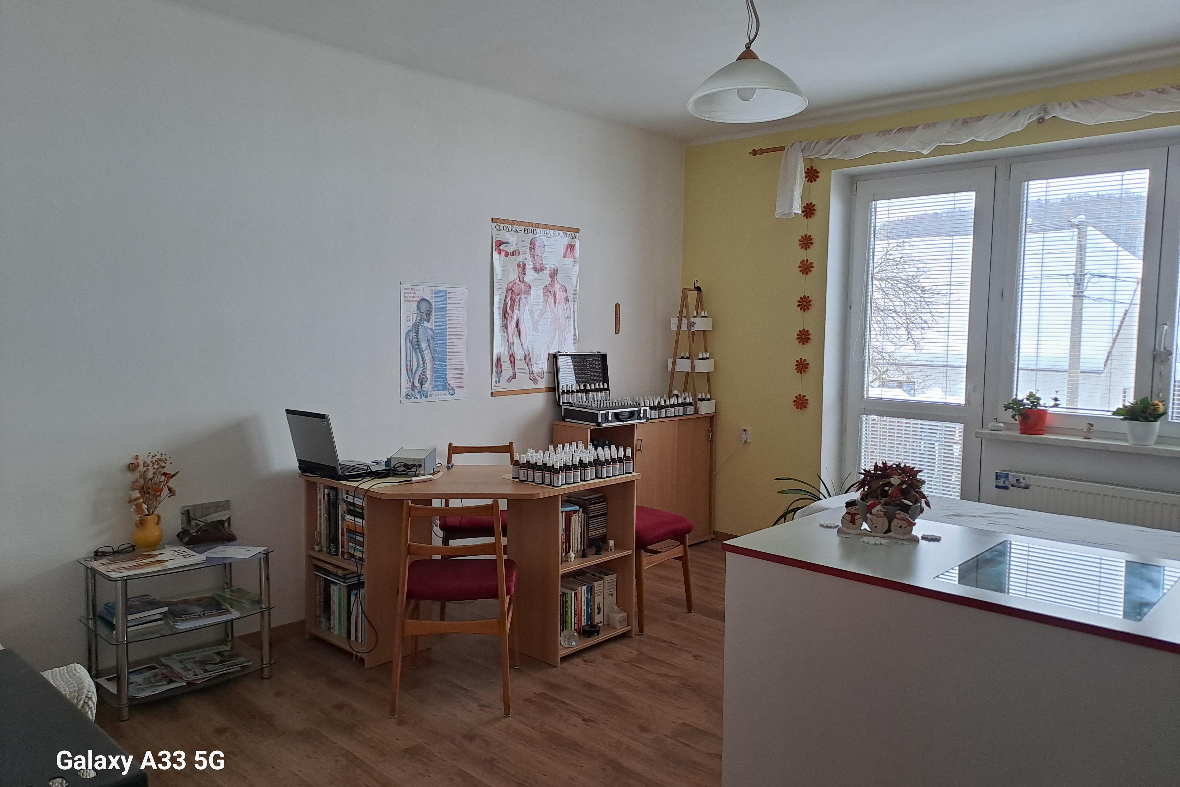 Ivana Možná - Imunoaktivace a detoxikace