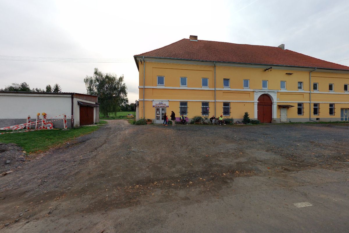 Sladké od fialky foto 5