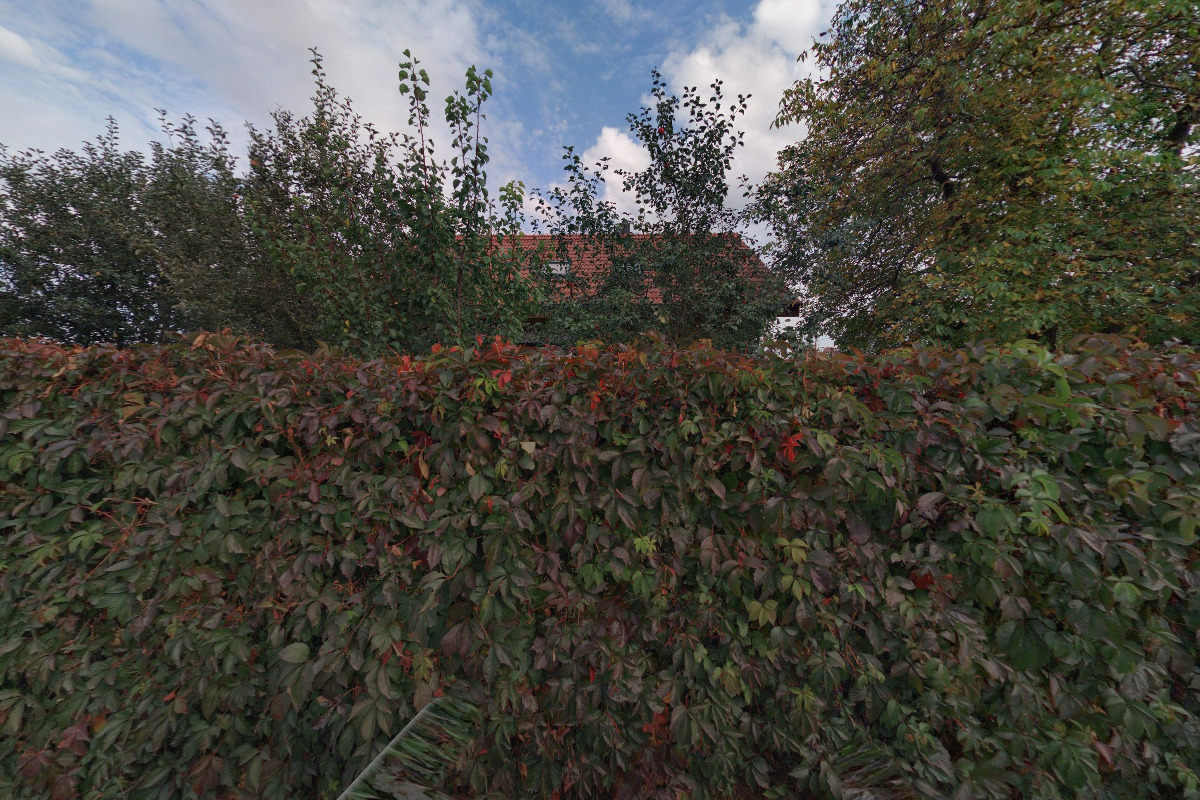 Mgr. Jana Radějová - překladatel