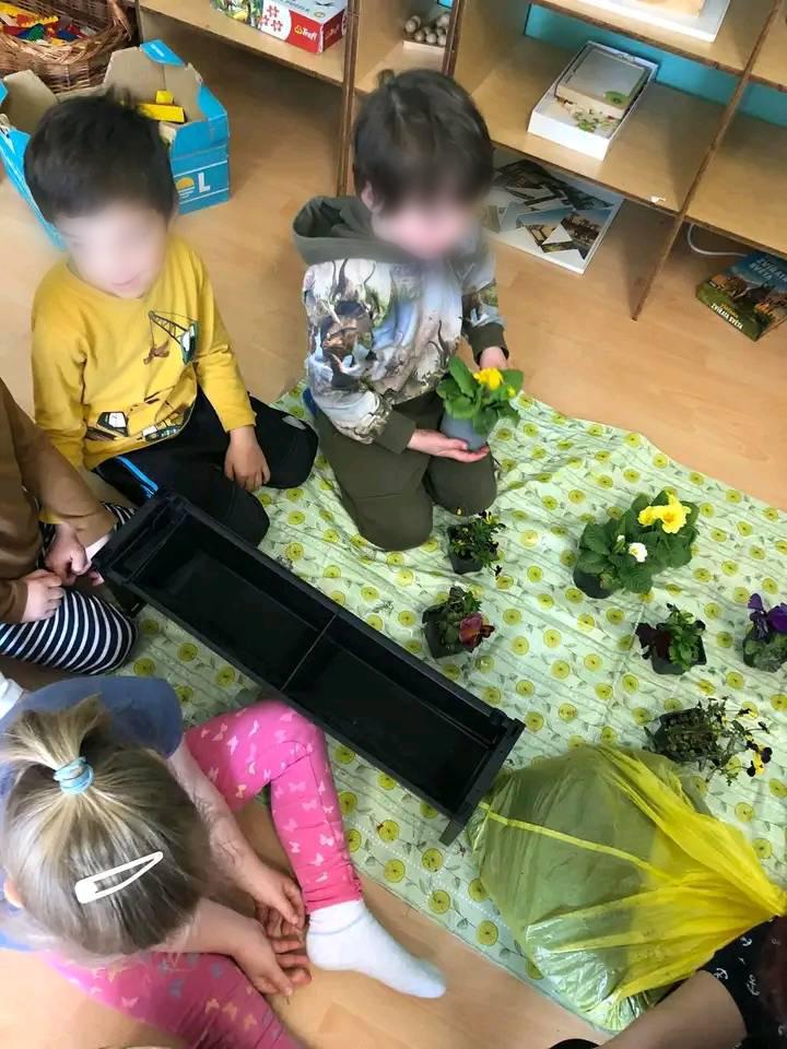 Lesní Klub Pampeliška foto 4