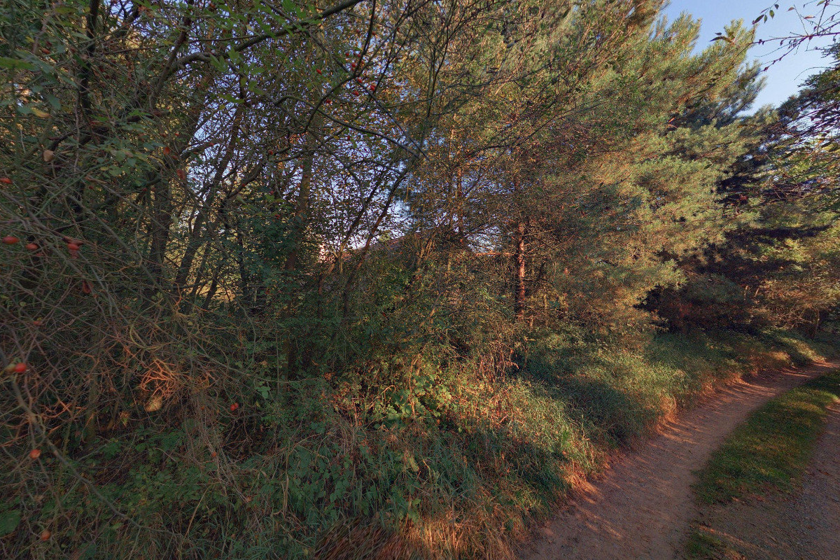 Junák - český skaut, středisko Omaha Kralovice