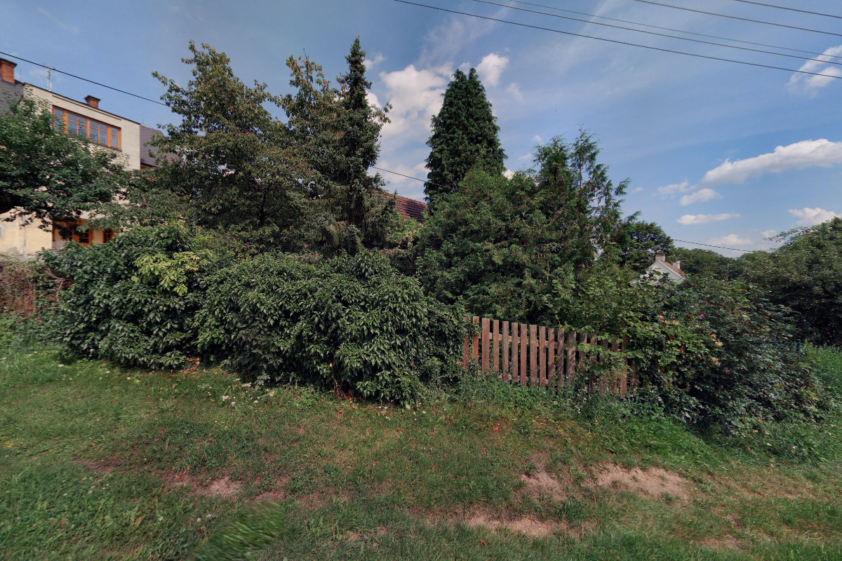 Viktorie Kantoříková