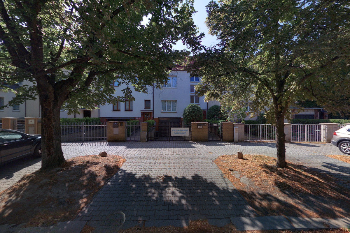 Veterinární ordinace MVDr. Helena Kořínková MVDr. Helena Kořínková foto 5