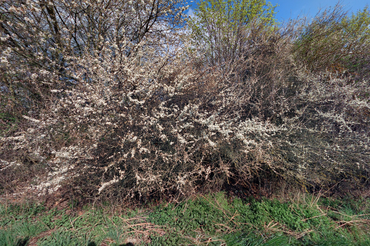 WELLDECO, s.r.o. foto 2