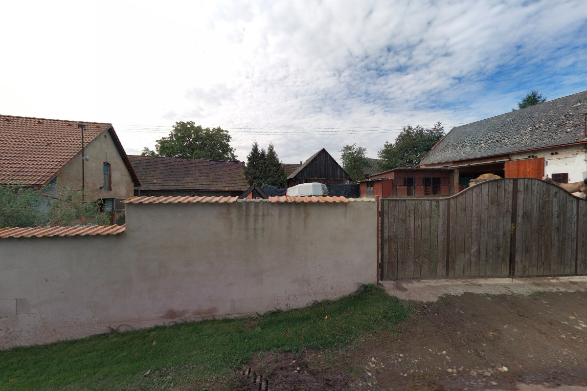 Český svaz chovatelů Achal Teke