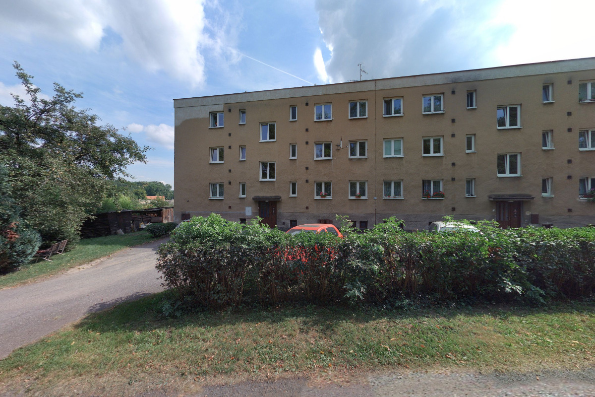 Basenji klub Bohemia