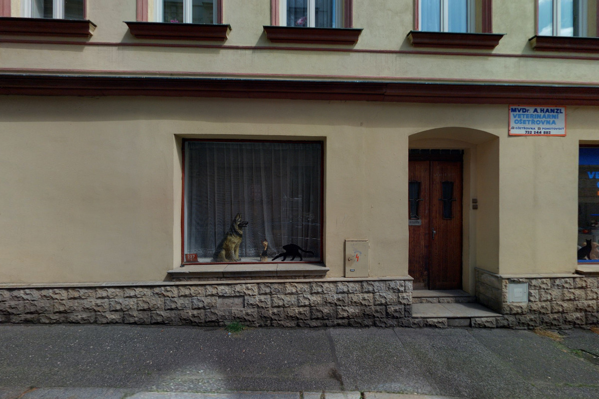 MVDr. Antonín Hanzl - Vetrinární klinika foto 3