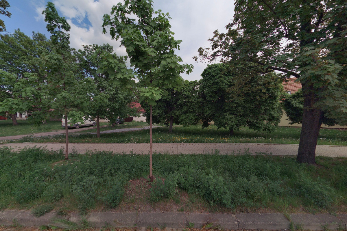 Farmářské trhy Milovice foto 1