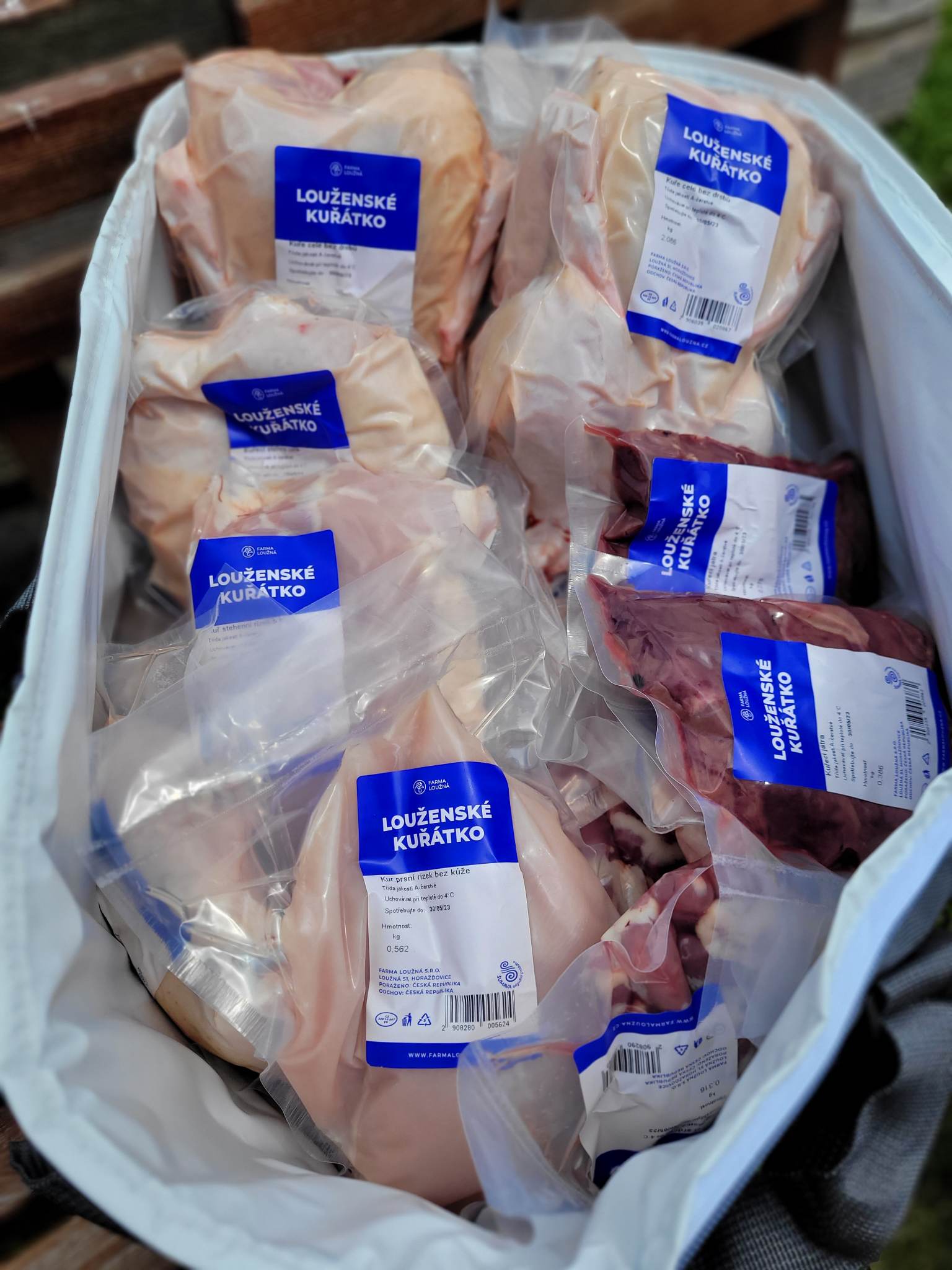 Louženské kuřátko foto 3