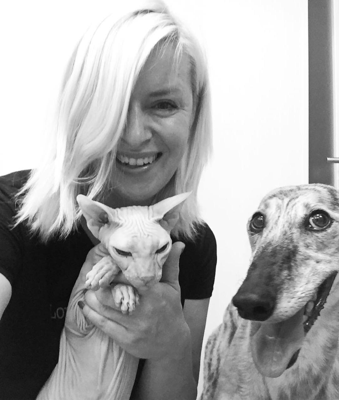 Veterinární ordinace Merlin, MVDr. Petra Miklišová foto 3