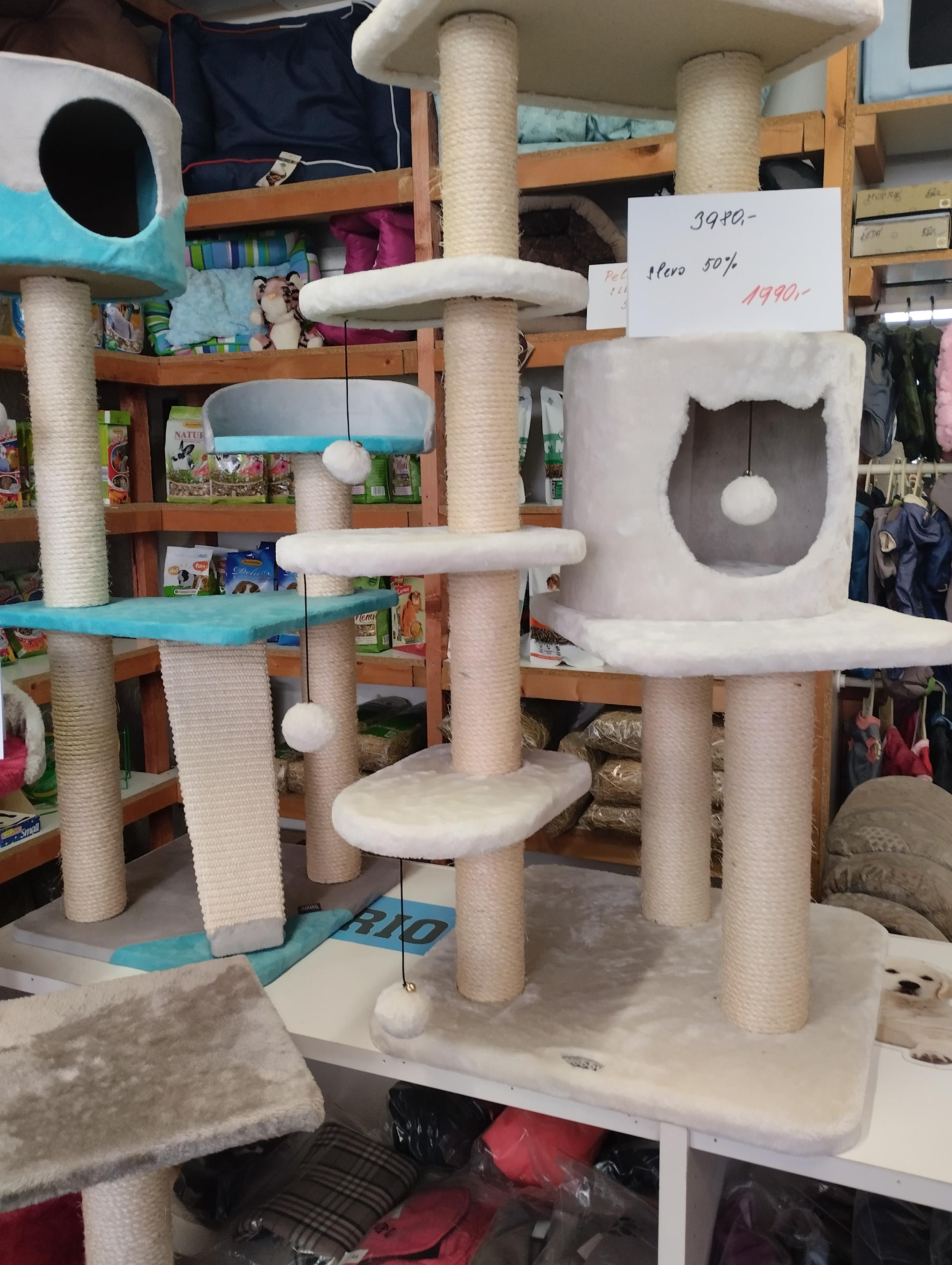 Eliška Forgáčová foto 2