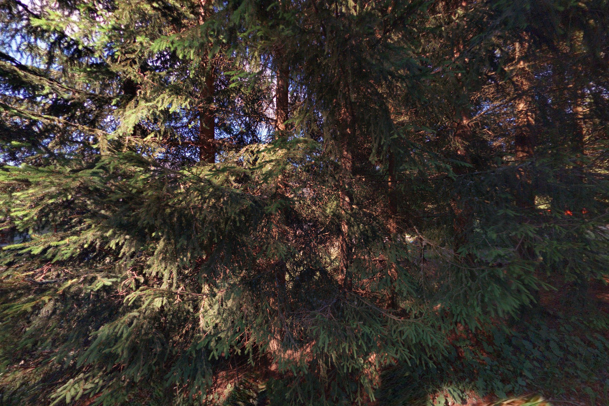 Cihlářka - Apartmán 206