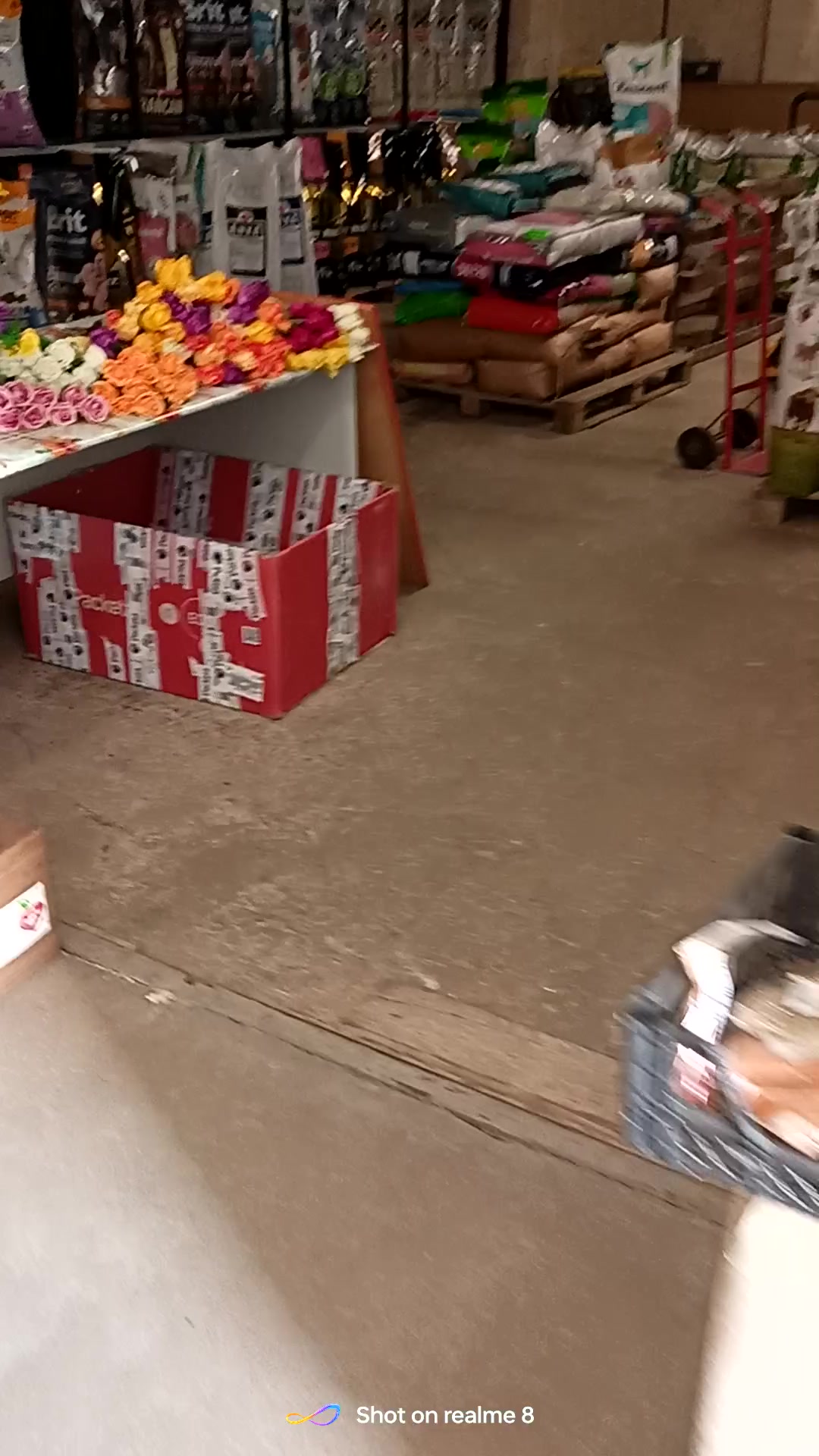 Krmiva u Naty foto 2 (náhled videa)