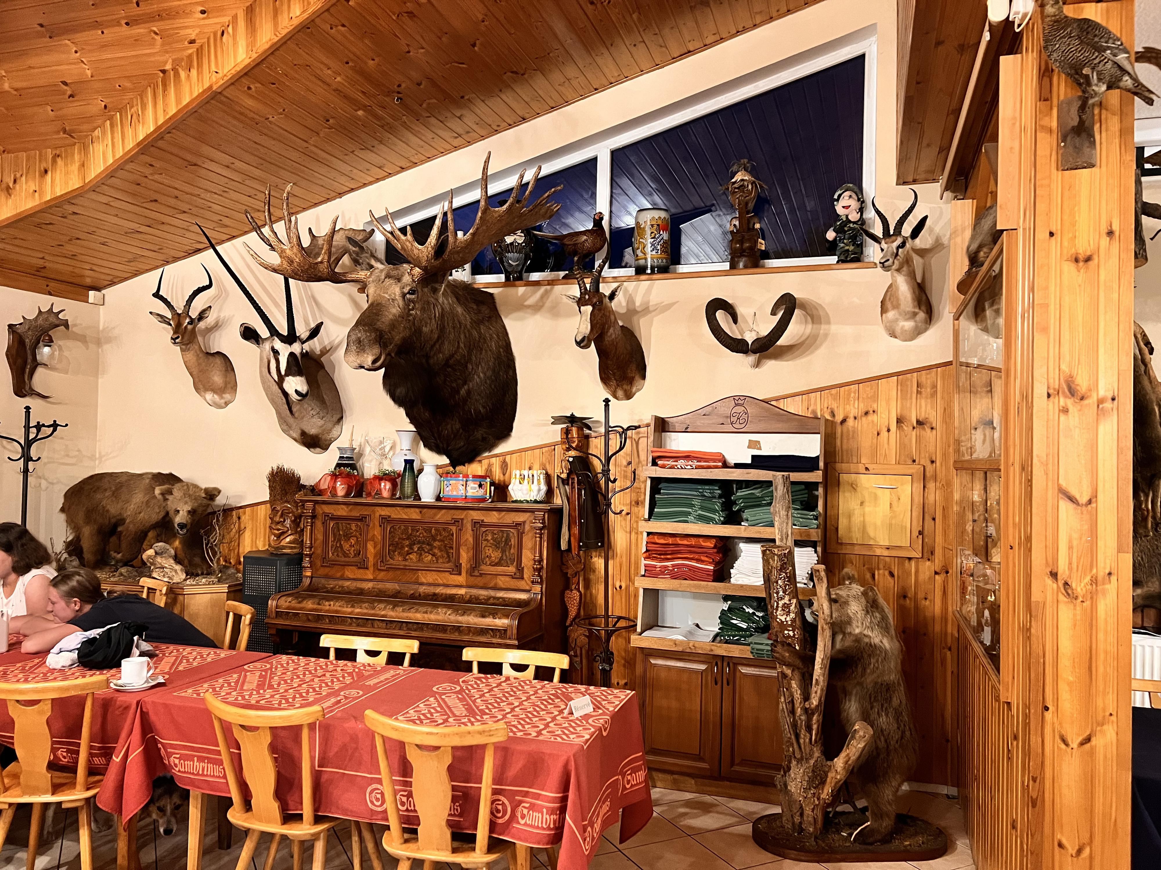 Restaurace Na Špici foto 3
