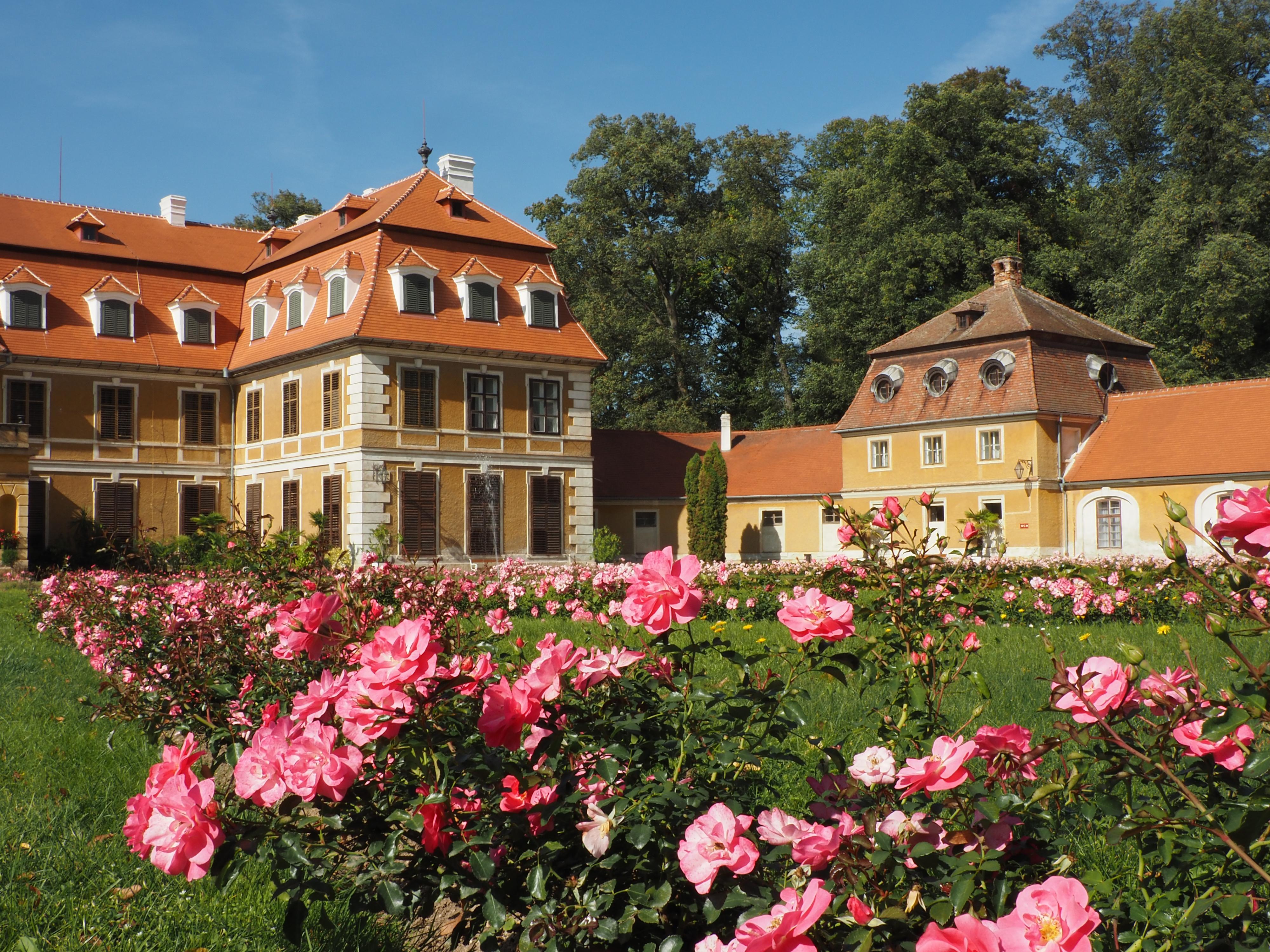 Zámecký bufet foto 3