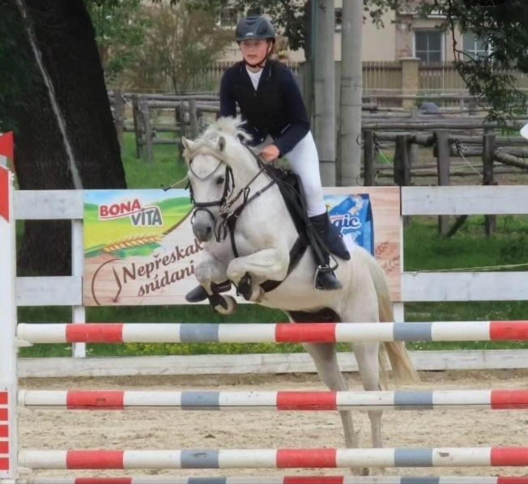 ATOS - jezdecká stáj z.s. foto 5