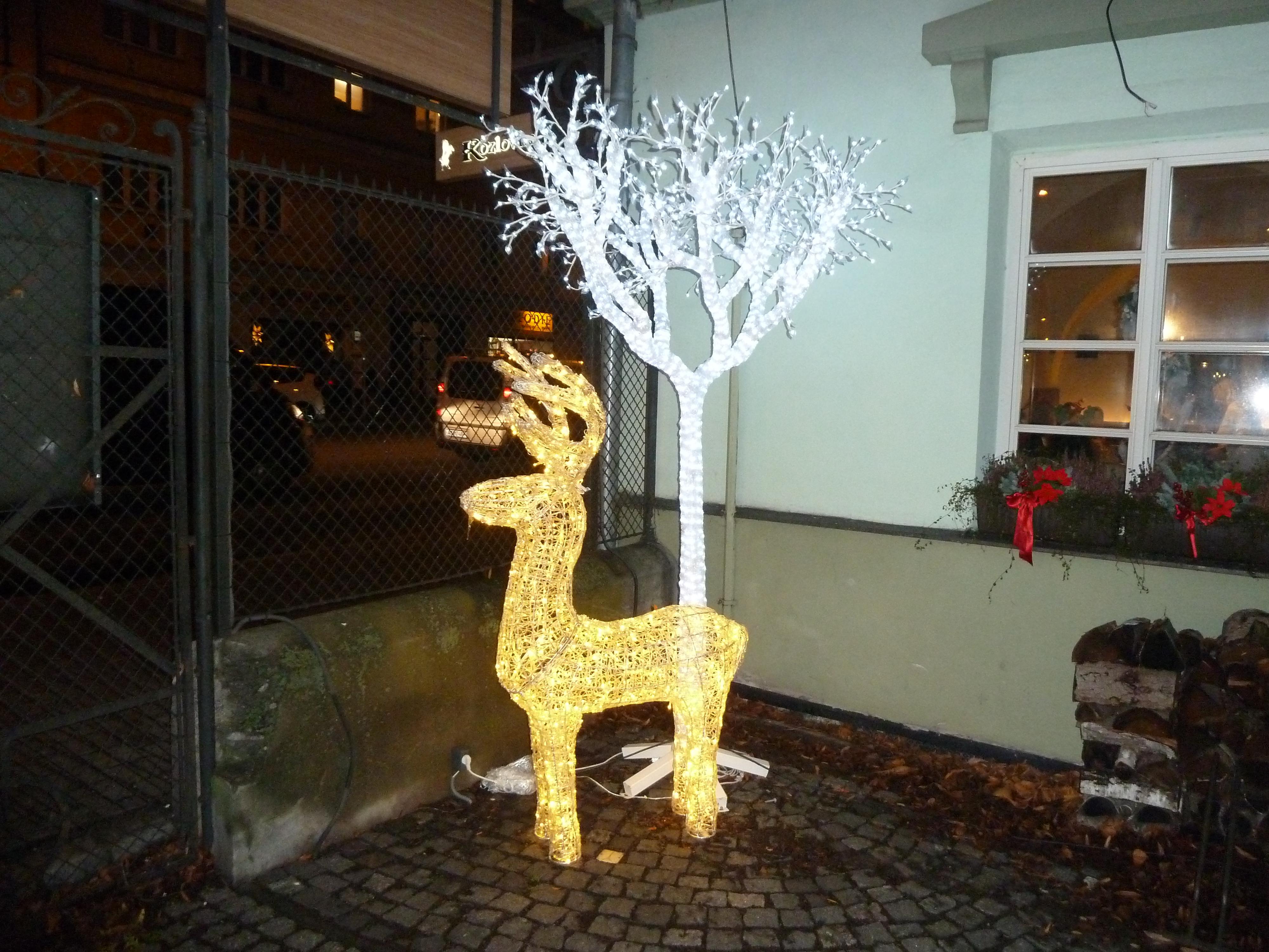 Kozlovna U Zelené ratolesti foto 2