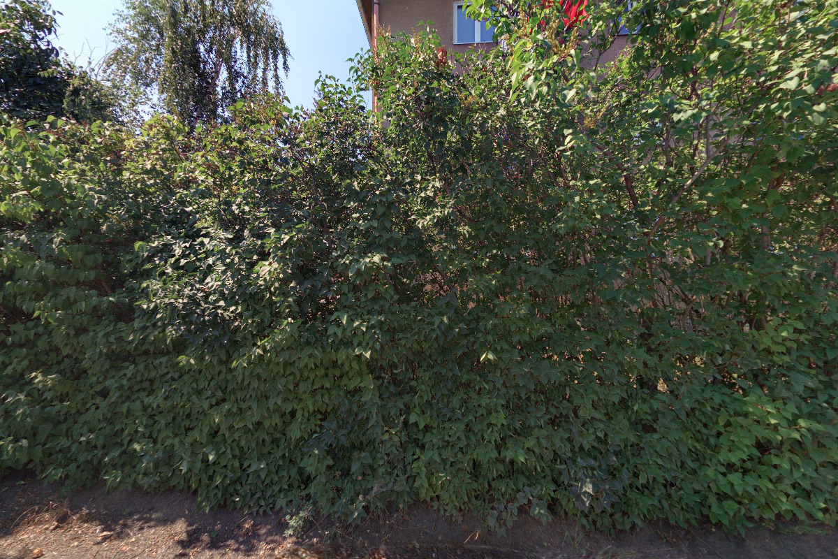 RUDLE.CZ - Jan Rudle