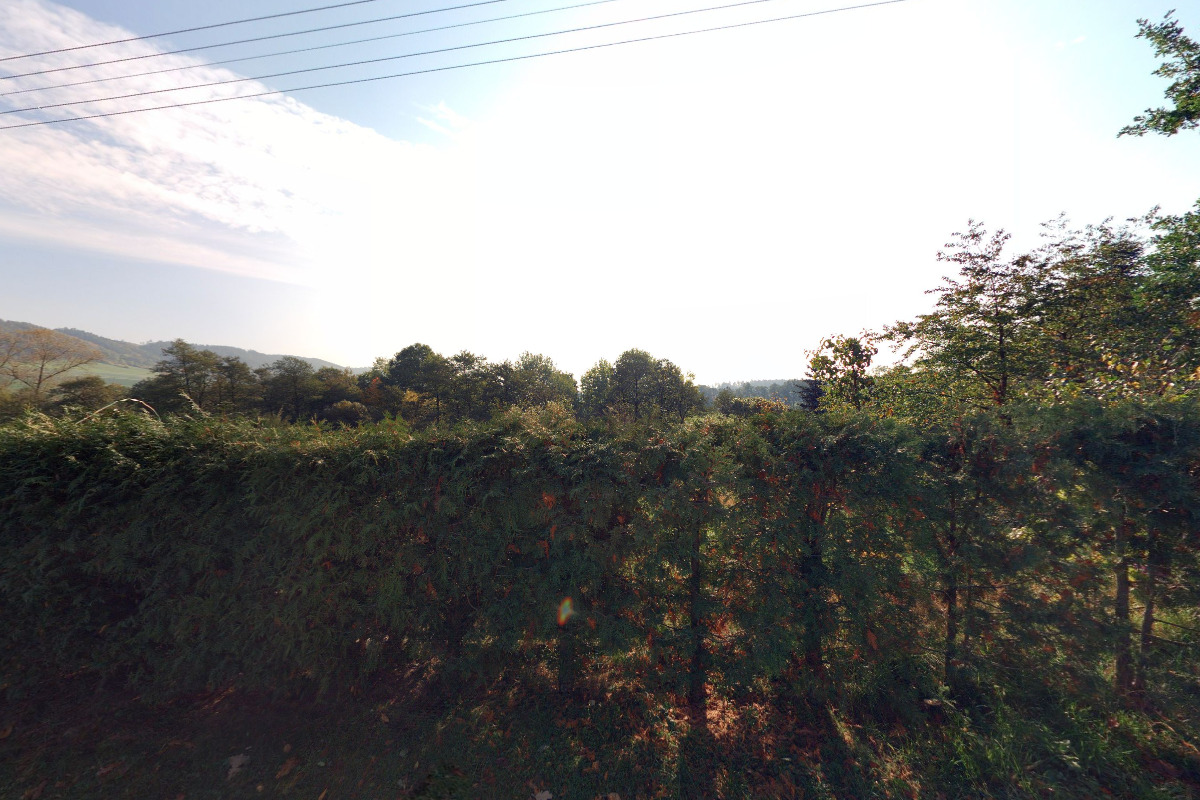 naturalpet.cz foto 2