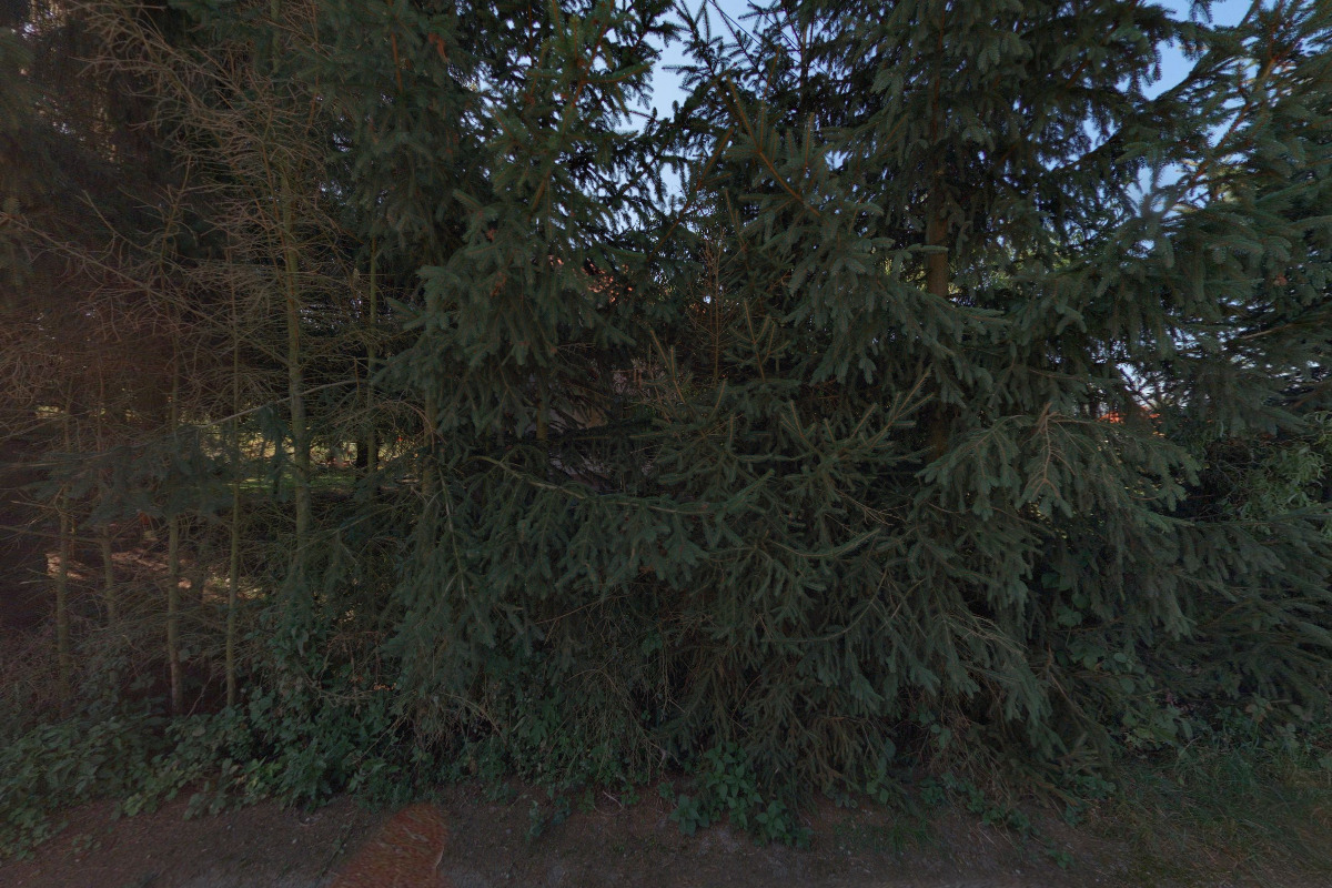 Zemědělské komodity Petr Babuška