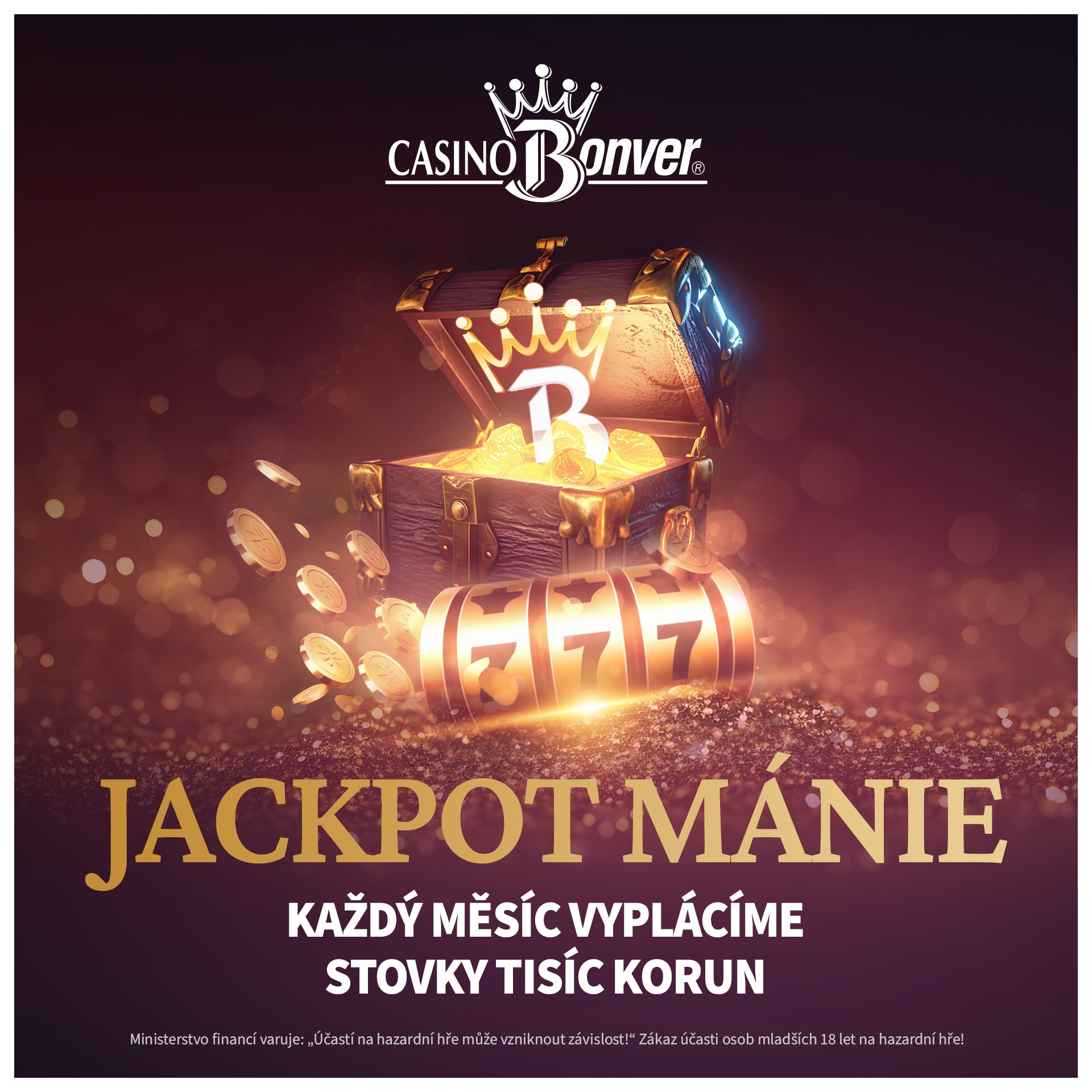 HERNA CLUB BONVER foto 4