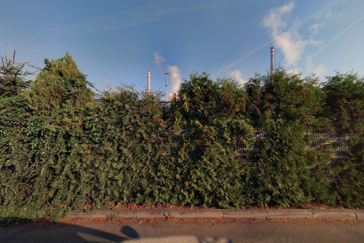 Ploty-branky.cz foto 2