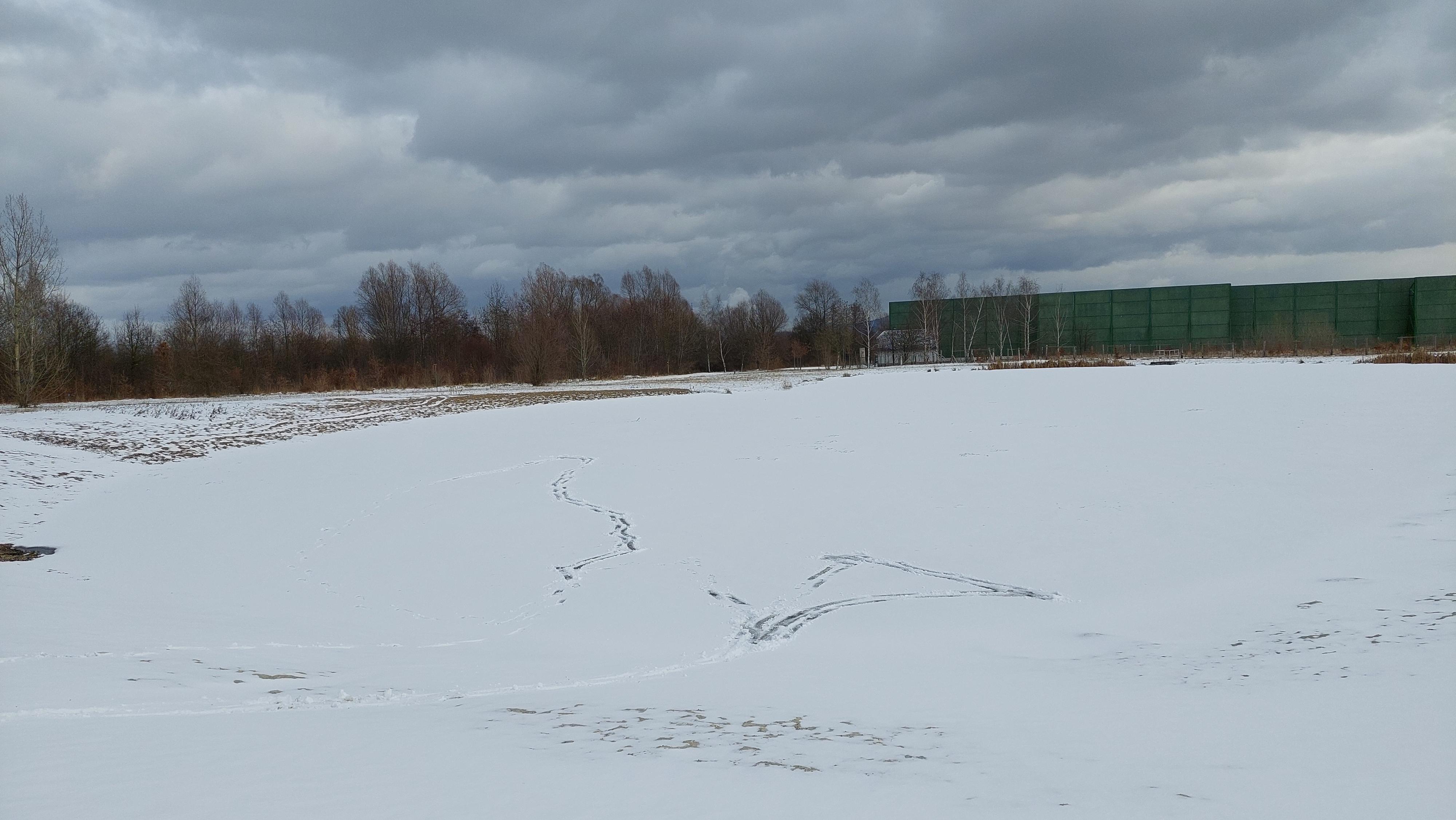 Přírodní koupaliště Mariánské Radčice foto 5
