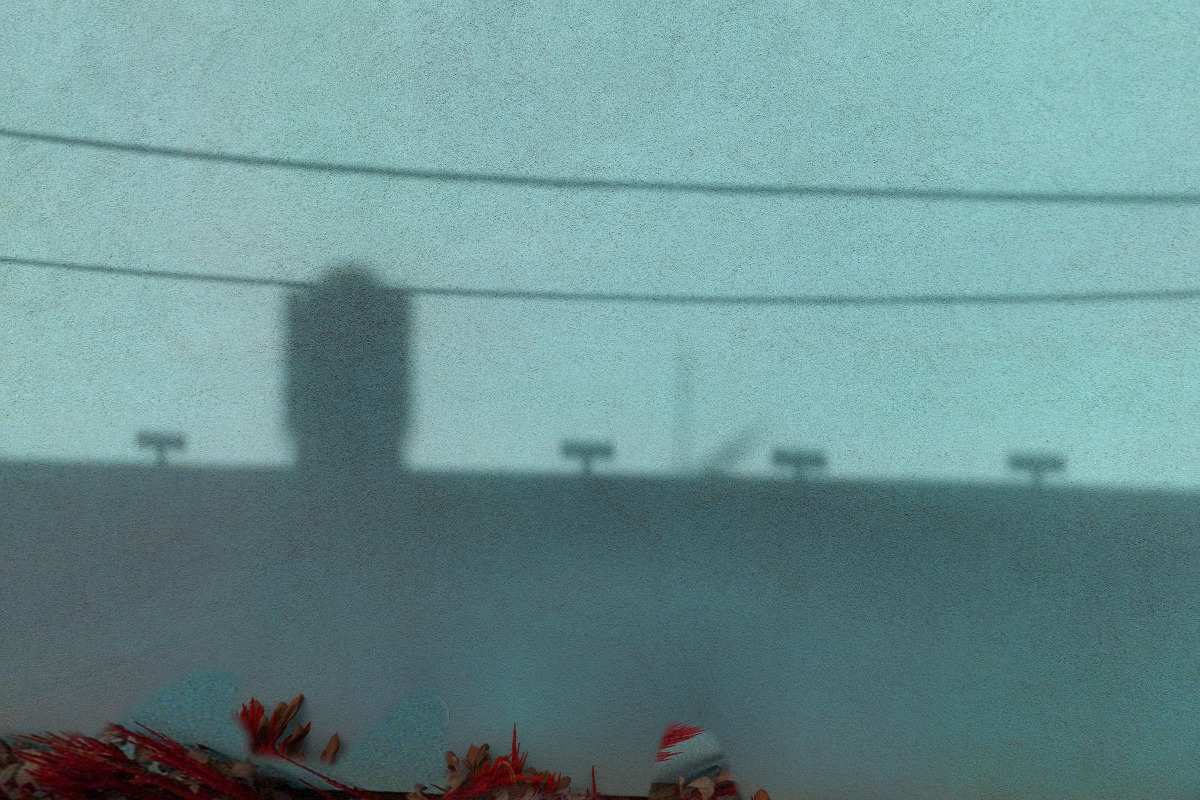 Zbyněk Toman - elmontop foto 1