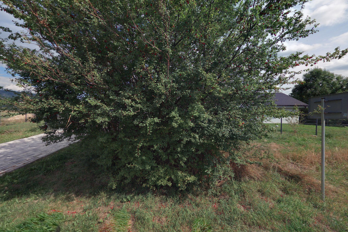 Stavební práce Petr Jíra