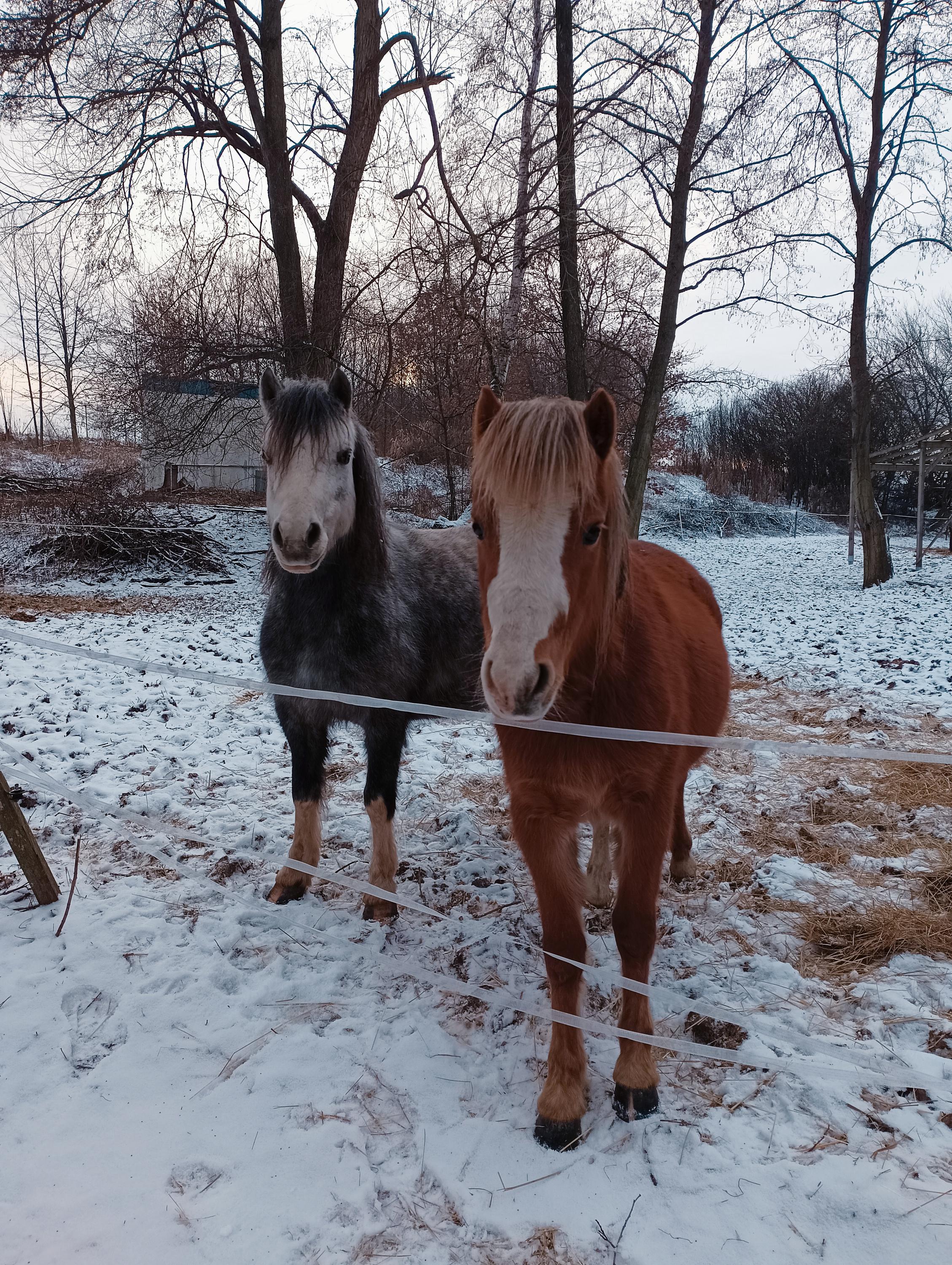 Na Paloučku foto 1