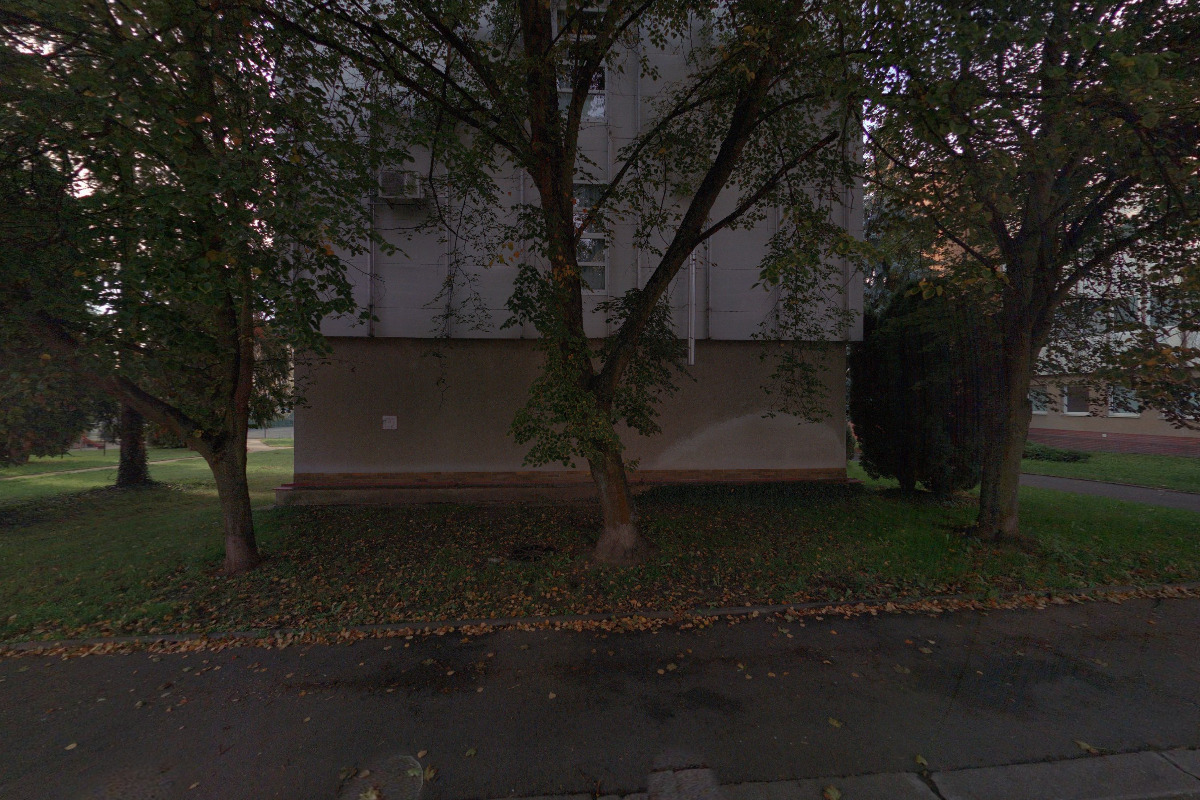 Jana Křížová - zubní technik foto 2