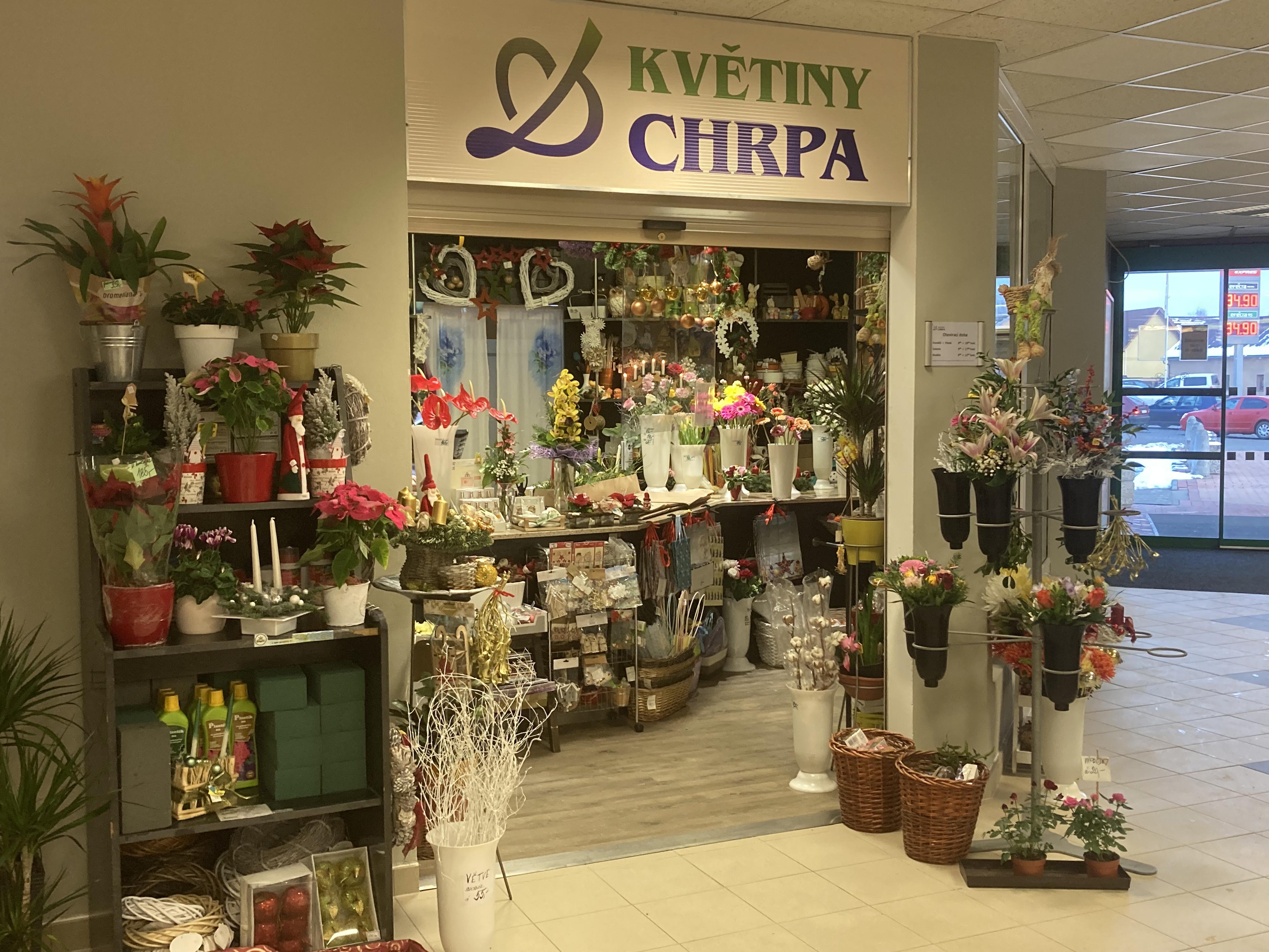 Květiny Chrpa foto 2