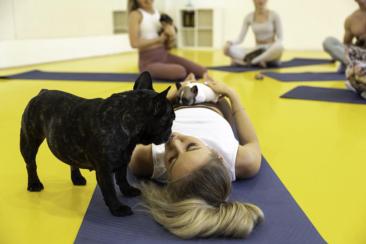 Jóga se štěňátky | PetsYoga.cz foto 4