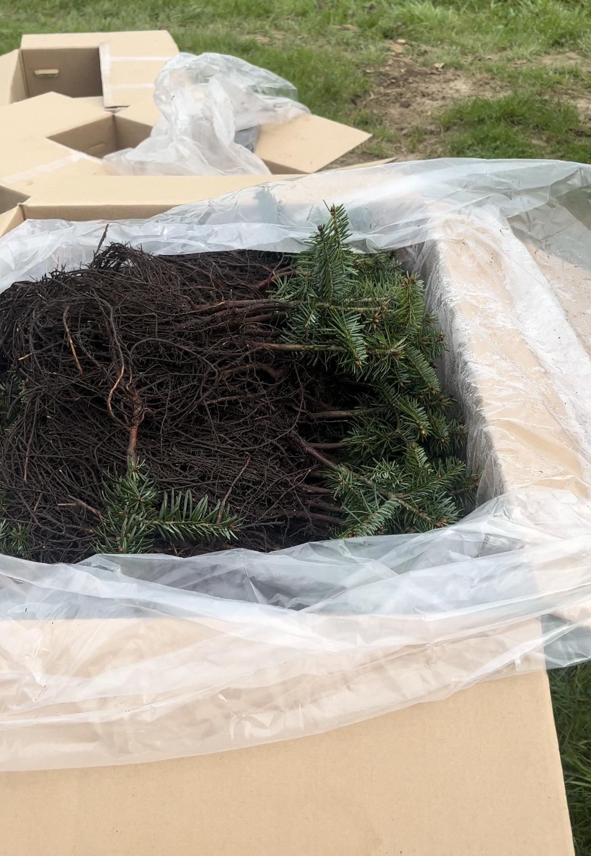 EUROPLANT spol. s.r.o. foto 3