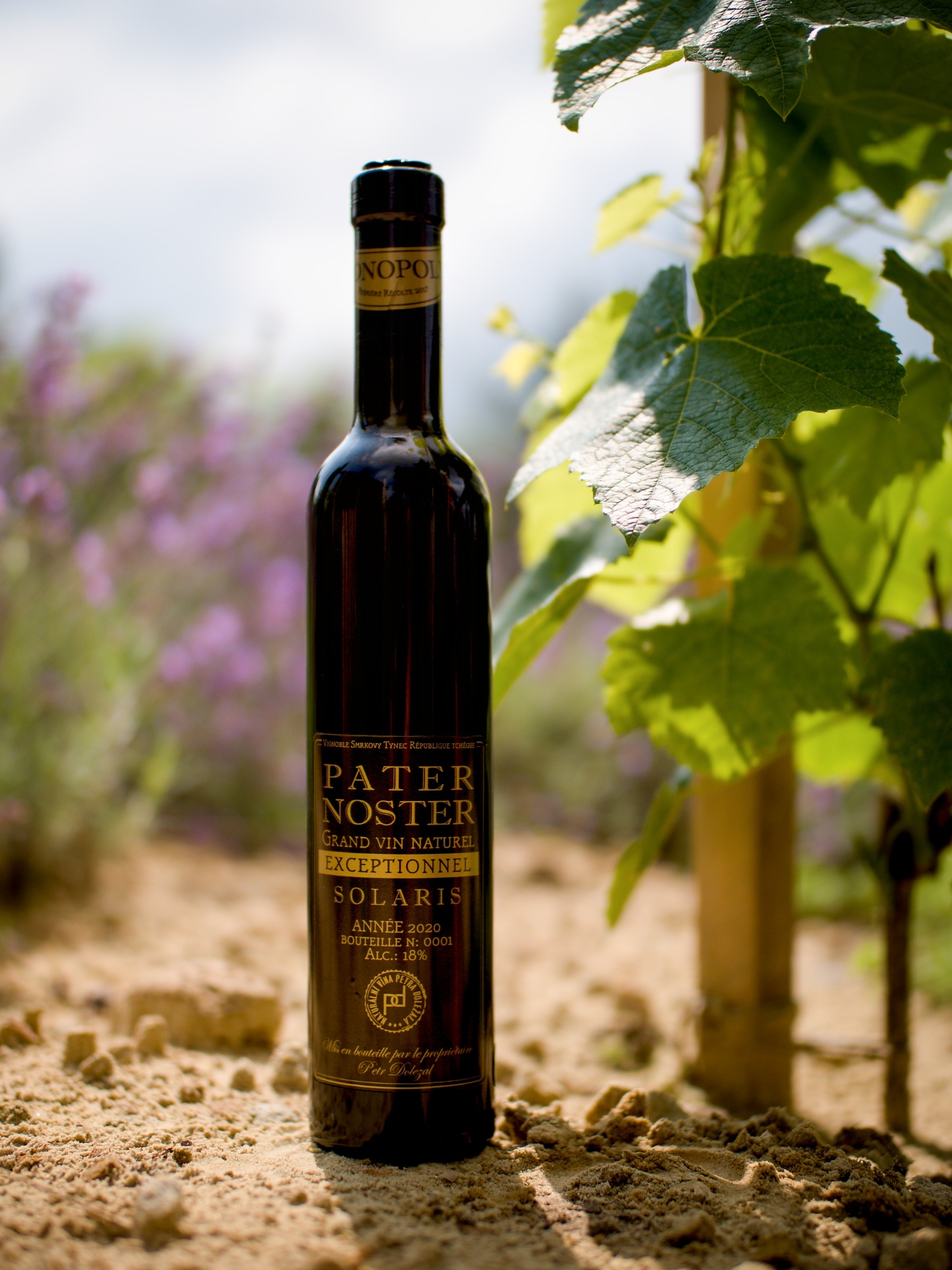 Vinohrad Smrkový Týnec foto 4