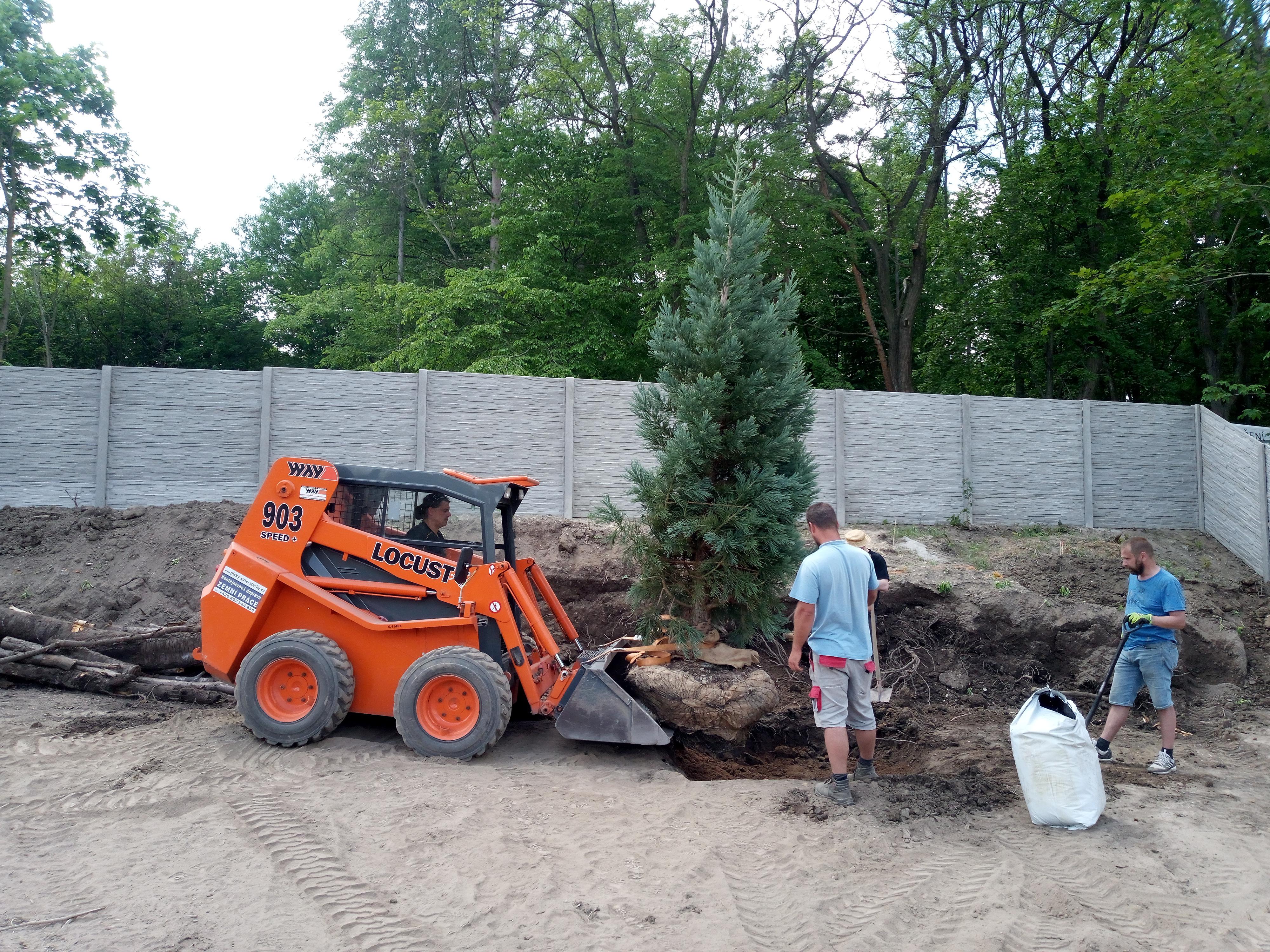 Bíba-zahradní architektura, s.r.o. foto 6