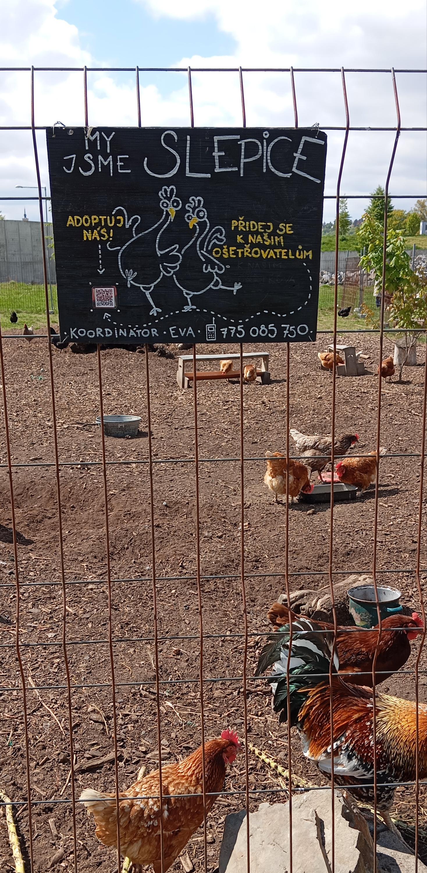 Komunitní zahrada Malý klín foto 4